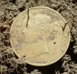 20150523_105208 crop coin.webp