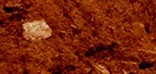 photo-dix1cropD.webp