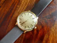 timex 1.webp