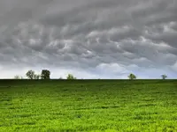 green & grey.webp