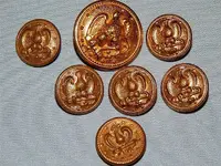 eagle buttons.webp