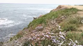 IMG_20160518_172015899.webp