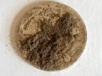lady half dirty.webp