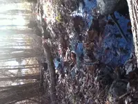 IMG_2227[1].webp