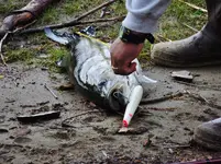 DSCN1258.webp