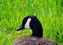 DSCN1242.webp