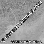 tailings 1964.webp