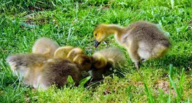 DSCN1230.webp