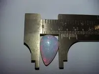 OPAL10.webp