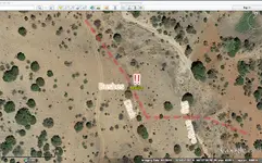 snake.webp