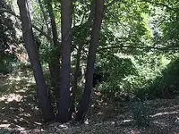 13334253_2058575364367780_15930417_o.webp