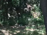 13383466_2058576041034379_544893138_o.webp