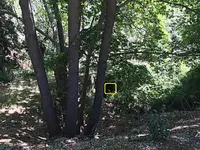 13334253_2058575364367780_15930417_o.webp