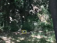 13383466_2058576041034379_544893138_o.webp