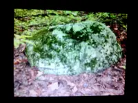 IMG_20160519_124911_235.webp