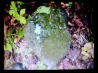 IMG_20160519_125207_637.webp