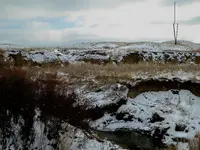little flower hill.webp