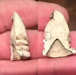 Sliced 3 Ringer.webp