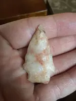 ImageUploadedByTreasureNet.com1464371937.890443.webp