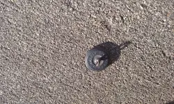 20160513_183238.webp