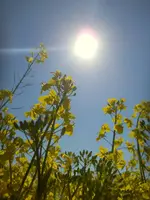 DSCN0031.webp
