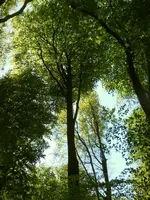 DSCN0038.webp