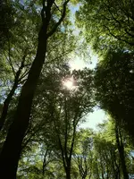 DSCN0039.webp