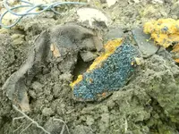 DSCN0043.webp
