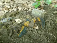 DSCN0044.webp