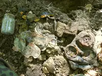 DSCN0049.webp