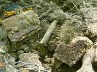 DSCN0050.webp