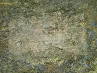 DSCN0056.webp