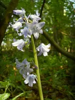 DSCN0066.webp