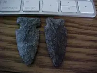 arrowhead1.webp