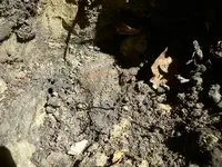 DSCN0071.webp