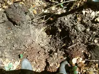 DSCN0070.webp
