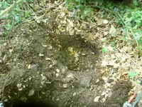 DSCN0079.webp