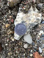 ImageUploadedByTreasureNet.com1465132703.380474.webp