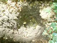 DSCN0073.webp
