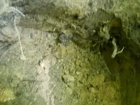 DSCN0089.webp