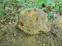 DSCN0088.webp