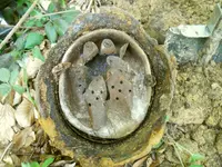 DSCN0087.webp