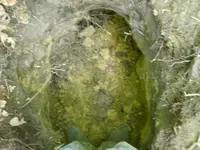 DSCN0094.webp