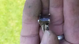 1] (5).webp