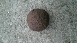 IMAG0350.webp