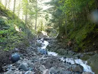 aDSCN1581.webp