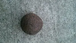 IMAG0351.webp