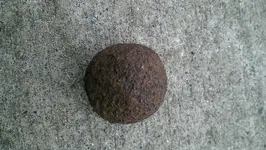 IMAG0352.webp
