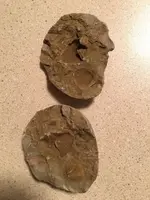 ImageUploadedByTreasureNet.com1465836349.608209.webp