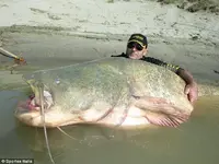 260AE29B00000578-2967097-image-a-61_1424796505207.webp